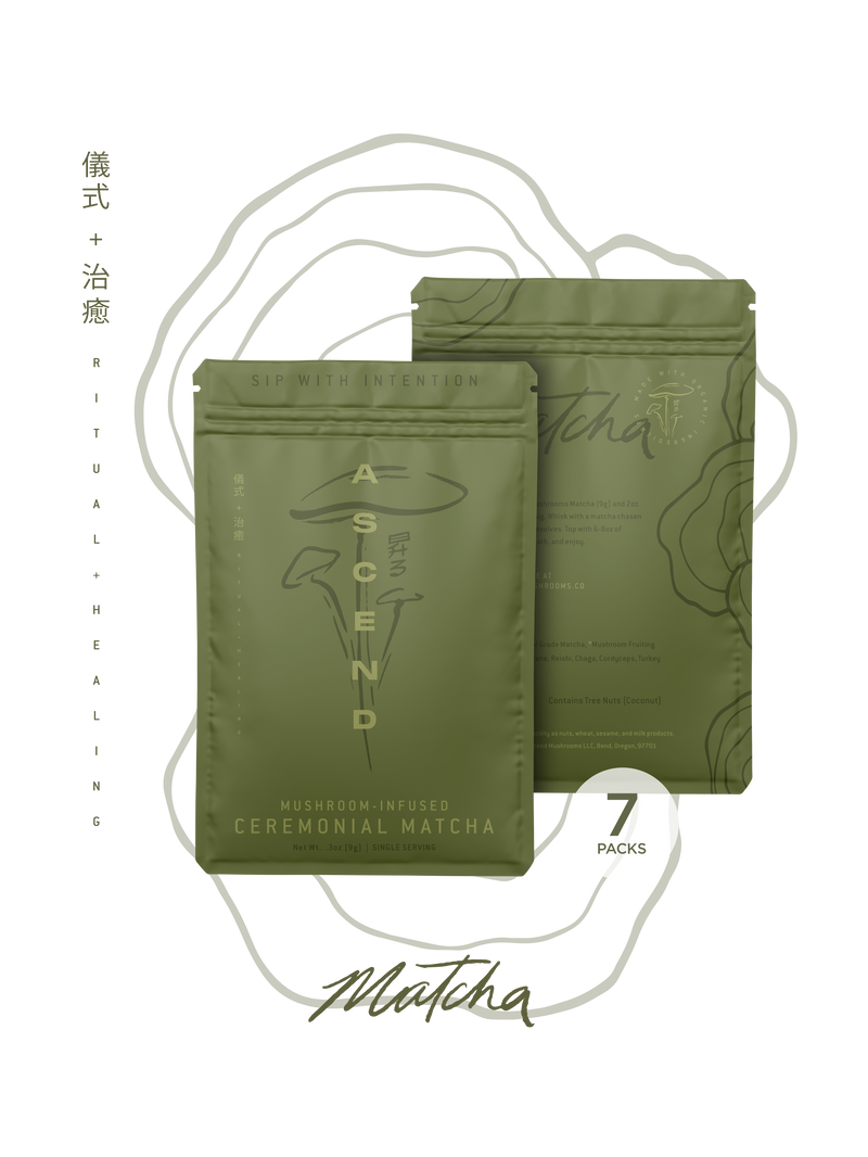 Travel Packs