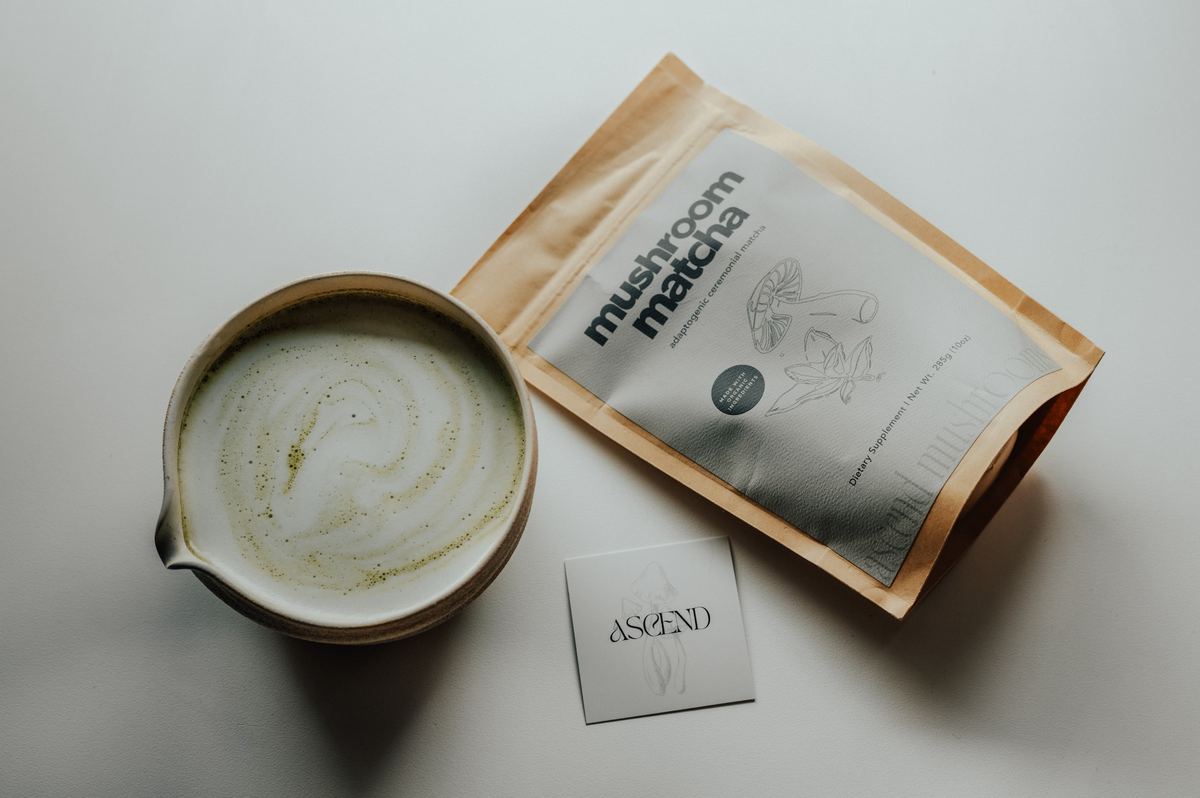 Infuse Matca Ascend Mushrooms - Functional Mushroom Infused Matcha & Cacao